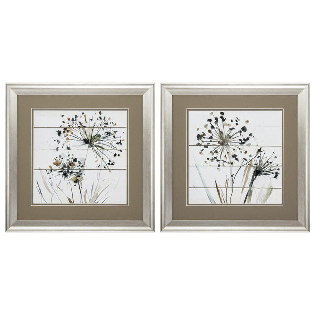 Paragon Natures Lace S/2 Brown 19 X 19 X 1 Wall Art
