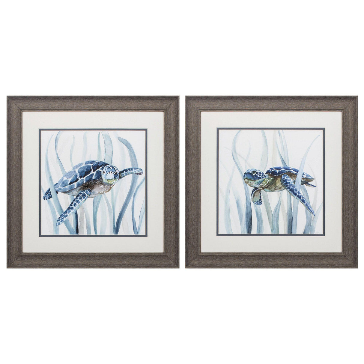 Paragon Turtle in Grass S/2 Blue 19 X 19 X 1 Wall Art