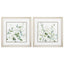 Paragon Sage Garden S/2 Green 18 X 18 X 1 Wall Art