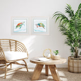 Paragon Turtle Tropics S/2 Blue 17 X 17 X 1 Wall Art