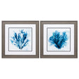 Paragon Brilliant Coral S/2 Blue 19 X 19 X 1 Wall Art