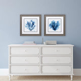 Paragon Brilliant Coral S/2 Blue 19 X 19 X 1 Wall Art