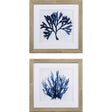 Paragon Indigo Coral A S/2 Blue 19 X 19 X 1 Wall Art