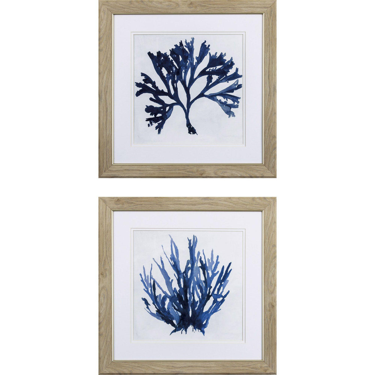 Paragon Indigo Coral A S/2 Blue 19 X 19 X 1 Wall Art