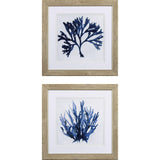 Paragon Indigo Coral A S/2 Blue 19 X 19 X 1 Wall Art