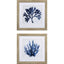Paragon Indigo Coral A S/2 Blue 19 X 19 X 1 Wall Art