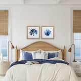 Paragon Indigo Coral A S/2 Blue 19 X 19 X 1 Wall Art