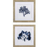 Paragon Indigo Coral B S/2 Blue 19 X 19 X 1 Wall Art