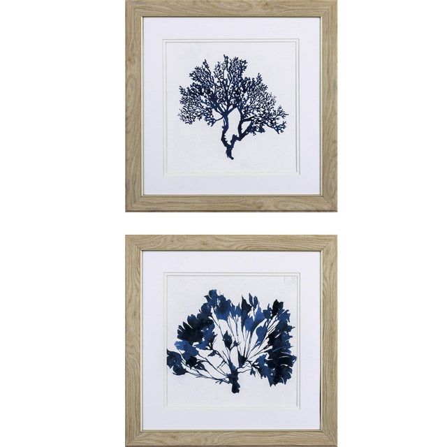 Paragon Indigo Coral B S/2 Blue 19 X 19 X 1 Wall Art
