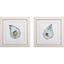 Paragon Atlantic Pacific S/2 Blue 20 X 20 X 1 Wall Art