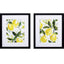 Paragon Lemony Branch S/2 Green 21 X 18 X 2 Wall Art