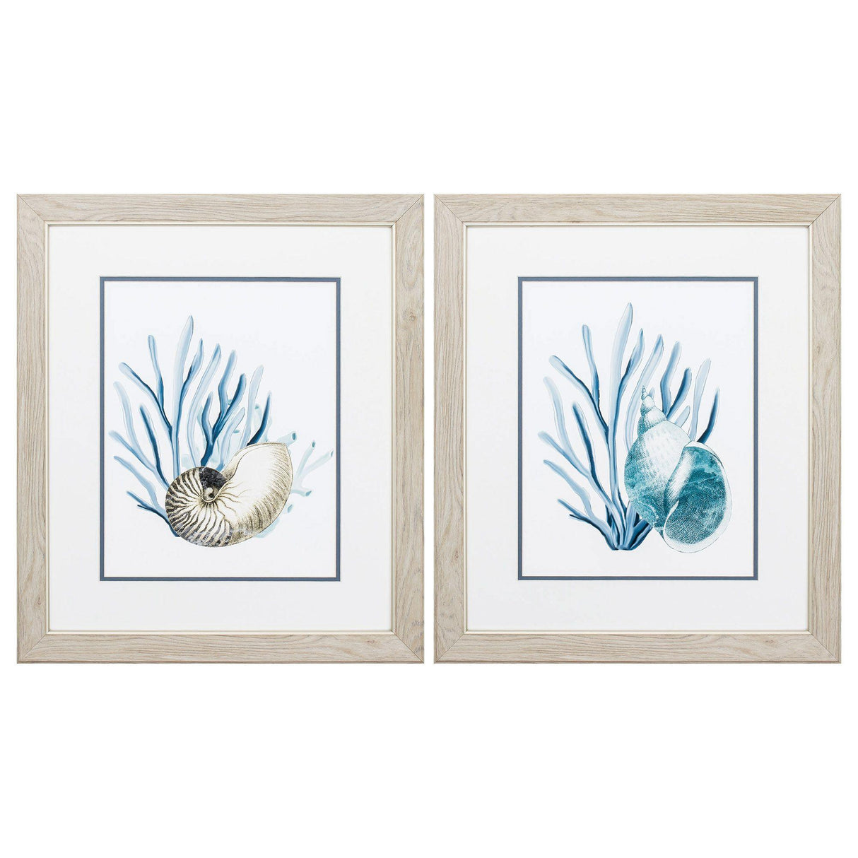 Paragon Shells & Seaweeds S/2 Blue 22 X 19 X 1 Wall Art