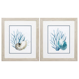 Paragon Shells & Seaweeds S/2 Blue 22 X 19 X 1 Wall Art