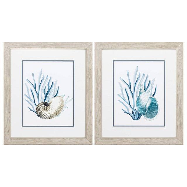 Paragon Shells & Seaweeds S/2 Blue 22 X 19 X 1 Wall Art