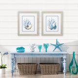 Paragon Shells & Seaweeds S/2 Blue 22 X 19 X 1 Wall Art