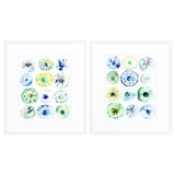 Paragon Sea Urchin Assortment S/2 Blue 20 X 17 X 2 Wall Art