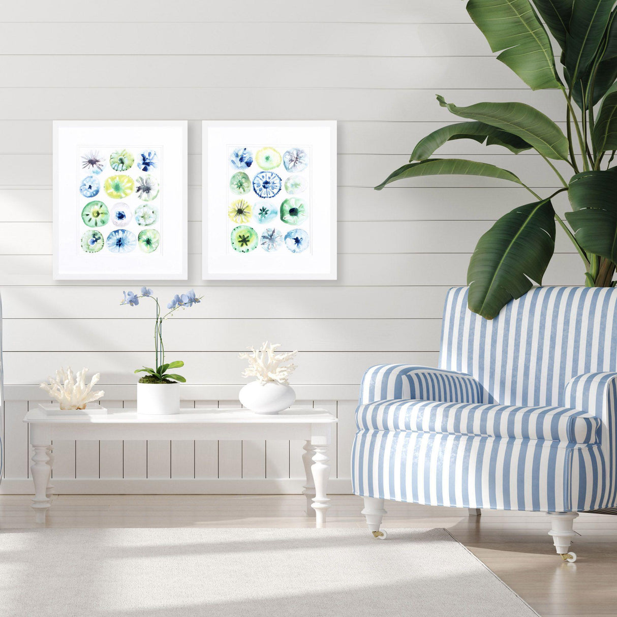Paragon Sea Urchin Assortment S/2 Blue 20 X 17 X 2 Wall Art