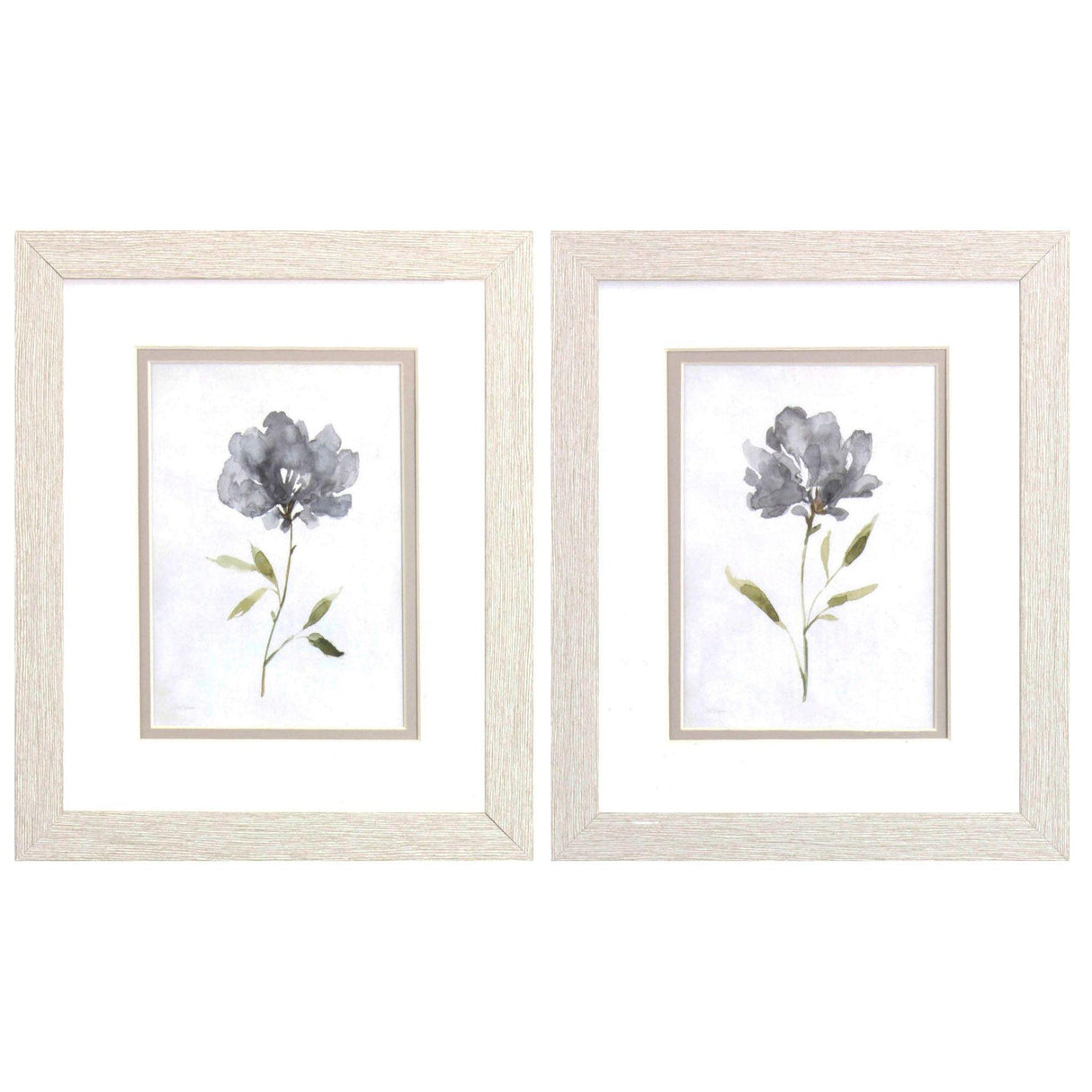 Paragon Botanical Beauty S/2 Gray 11 X 09 X 1 Wall Art
