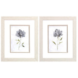 Paragon Botanical Beauty S/2 Gray 11 X 09 X 1 Wall Art