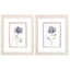 Paragon Botanical Beauty S/2 Gray 11 X 09 X 1 Wall Art