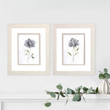 Paragon Botanical Beauty S/2 Gray 11 X 09 X 1 Wall Art