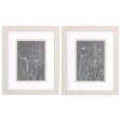 Paragon Gray Poppies Sketch S/2 Gray 11 X 09 X 1 Wall Art