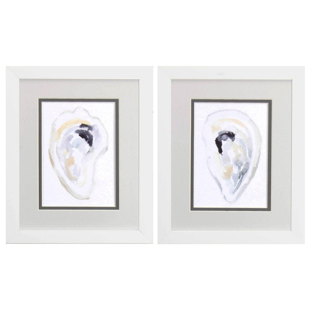 Paragon Oyster Shell S/2 Gray 11 X 09 X 2 Wall Art