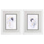 Paragon Oyster Shell S/2 Gray 11 X 09 X 2 Wall Art