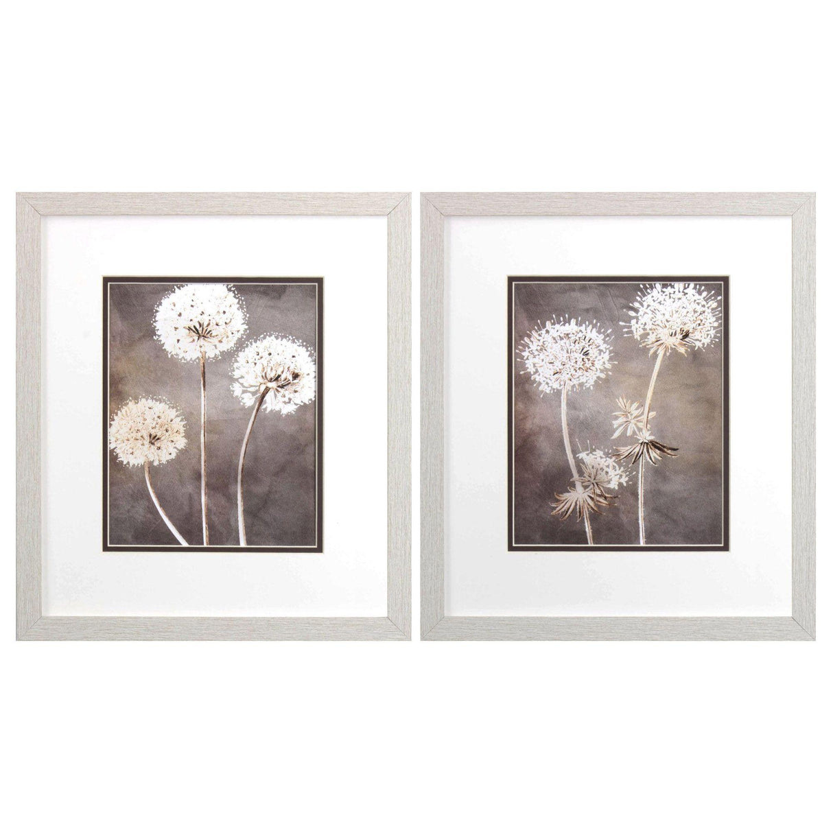 Paragon Dandelion S/2 Neutral 16 X 14 X 1 Wall Art