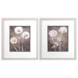 Paragon Dandelion S/2 Neutral 16 X 14 X 1 Wall Art