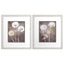 Paragon Dandelion S/2 Neutral 16 X 14 X 1 Wall Art