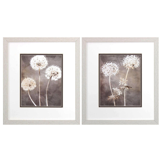 Paragon Dandelion S/2 Neutral 16 X 14 X 1 Wall Art