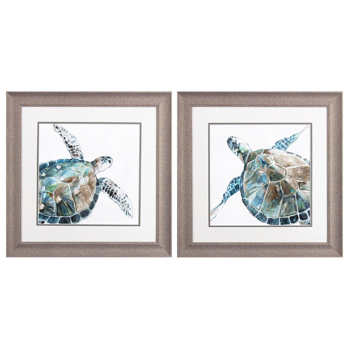 Paragon Neutral Sea Turtle S/2 Blue 19 X 19 X 1 Wall Art
