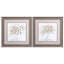 Paragon Birch Grove S/2 Brown 19 X 19 X 1 Wall Art