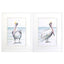 Paragon Pelican on the Shore S/2 Gray 25 X 19 X 2 Wall Art