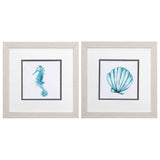 Paragon Seahorse Shell S/2 Blue 11 X 11 X 1 Wall Art