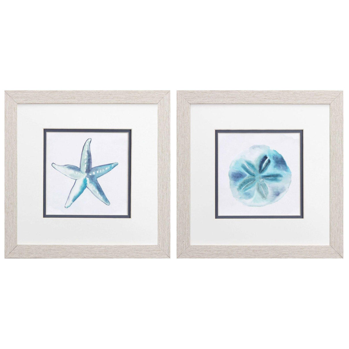 Paragon Starfish Sand Dollar S/2 Blue 11 X 11 X 1 Wall Art