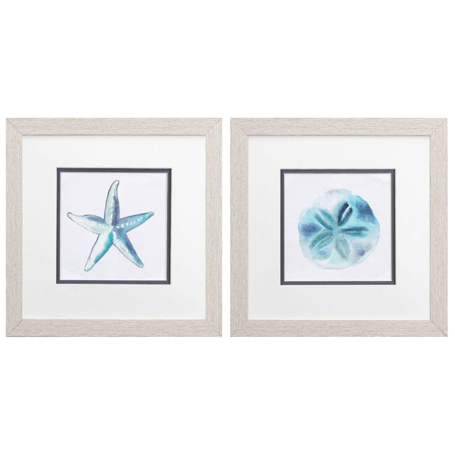 Paragon Starfish Sand Dollar S/2 Blue 11 X 11 X 1 Wall Art
