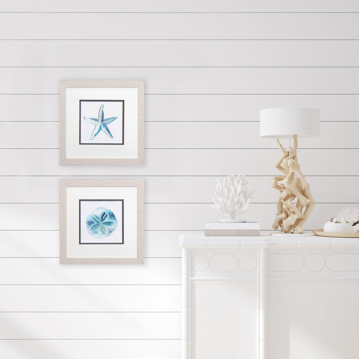 Paragon Starfish Sand Dollar S/2 Blue 11 X 11 X 1 Wall Art