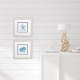 Paragon Starfish Sand Dollar S/2 Blue 11 X 11 X 1 Wall Art