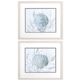 Paragon Ocean Beauty A S/2 Blue 17 X 20 X 1 Wall Art
