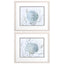 Paragon Ocean Beauty A S/2 Blue 17 X 20 X 1 Wall Art