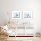 Paragon Ocean Beauty A S/2 Blue 17 X 20 X 1 Wall Art