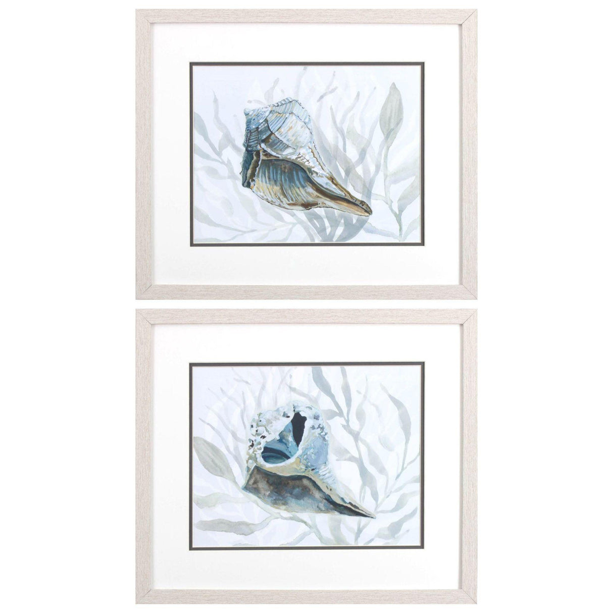 Paragon Ocean Beauty B S/2 Blue 17 X 20 X 1 Wall Art