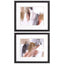 Paragon Antique Gold A S/2 Black 18 X 21 X 2 Wall Art