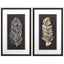 Paragon Soft Feather on Black S/2 Neutral 32 X 20 X 2 Wall Art