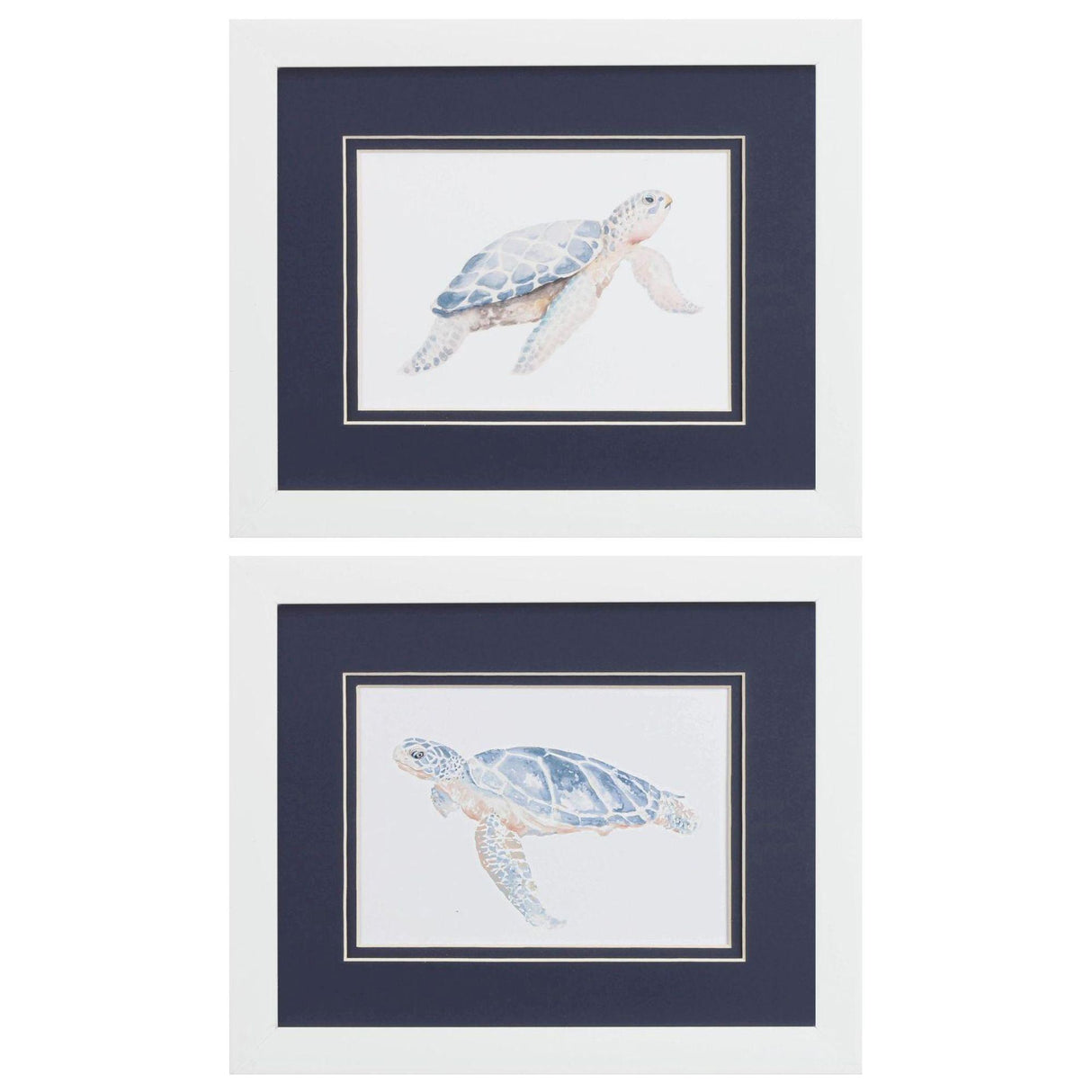 Paragon Turtle Trail S/2 Blue 09 X 11 X 2 Wall Art