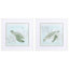Paragon Ocean Swim S/2 Blue 17 X 17 X 2 Wall Art