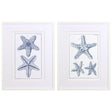 Paragon Blue Sea Stars B S/2 Blue 25 X 19 X 2 Wall Art