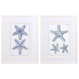 Paragon Blue Sea Stars B S/2 Blue 25 X 19 X 2 Wall Art